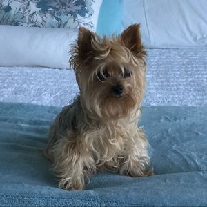 Meet your Posher, Patti